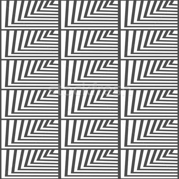 Geometrik vektör model siyah beyaz renk Stok fotoğraf © ESSL