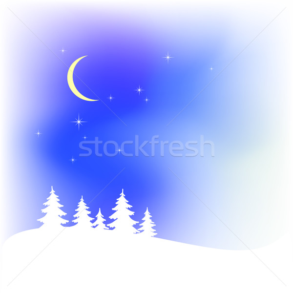 Snow christmas vector landscape Stock photo © ESSL