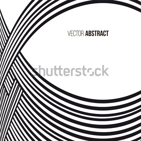Abstract background. Black and white curve lines with frame for message Stock photo © ESSL