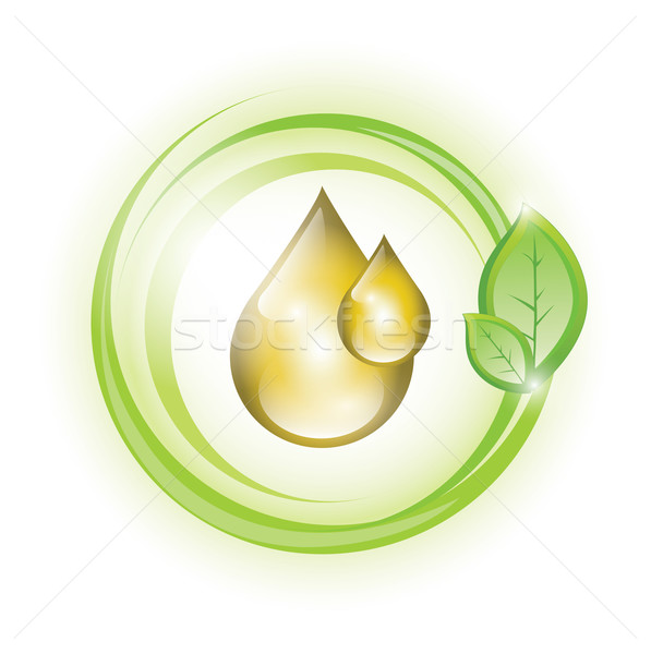 生態 油 滴 界 植物 葉 商業照片 © evetodew