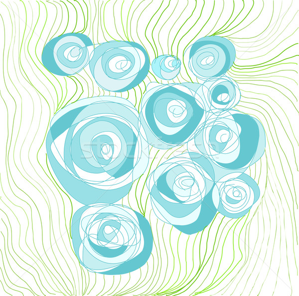 Hand drawn roses Stock photo © evetodew