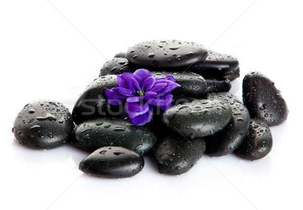 Foto stock: Estância · termal · pedras · gotas · flores · isolado · branco