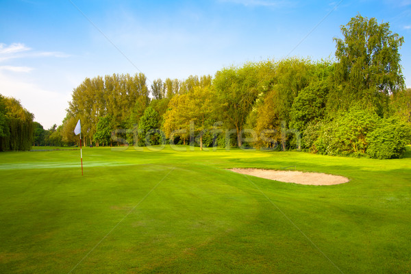 Golfbaan hemel boom wolken gras golf Stockfoto © EwaStudio