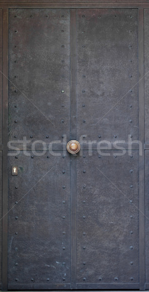 metal door  Stock photo © EwaStudio