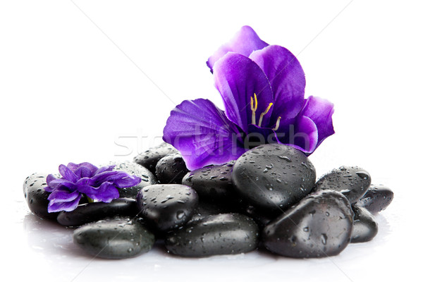 Spa stones and purple flower, isolated on white. flower in stone Stock photo © EwaStudio