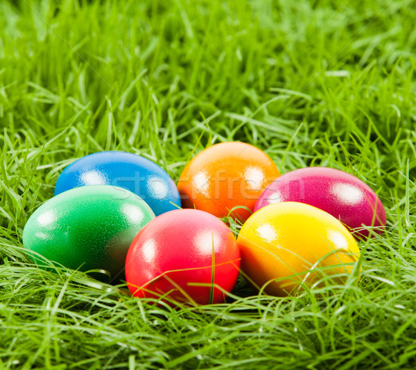 [[stock_photo]]: œufs · de · Pâques · fraîches · herbe · verte · Pâques · printemps · herbe