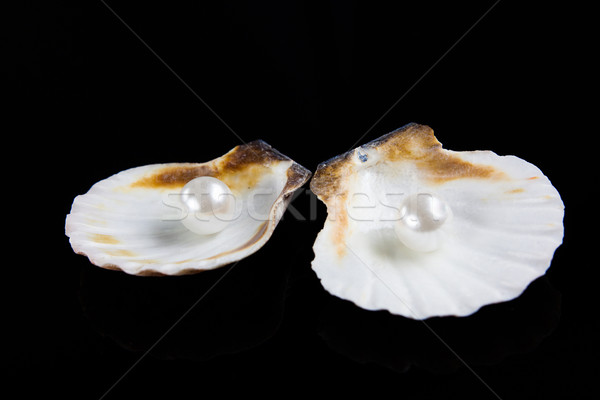seashell with pearl on black background Stock photo © EwaStudio