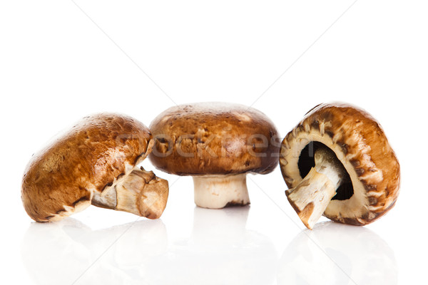 新鮮 蘑菇 香蕈 孤立 白 食品 商業照片 © EwaStudio