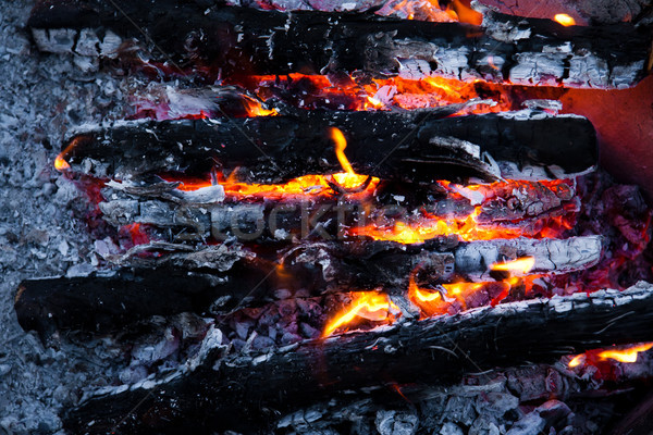 Ardor madera carbón chimenea primer plano caliente Foto stock © EwaStudio