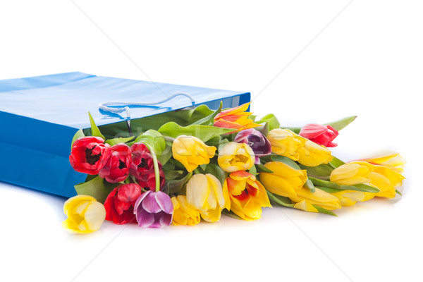 bouquet of tulip flowers in the blue bag Stock photo © EwaStudio