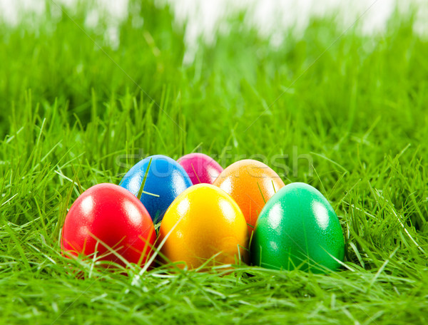 Easter eggs in Fresh Green Grass . Stock photo © EwaStudio