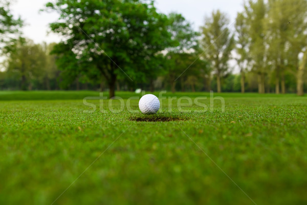 商業照片: 高爾夫球 · 唇 · 杯 · 高爾夫球 · 運動 · 綠色