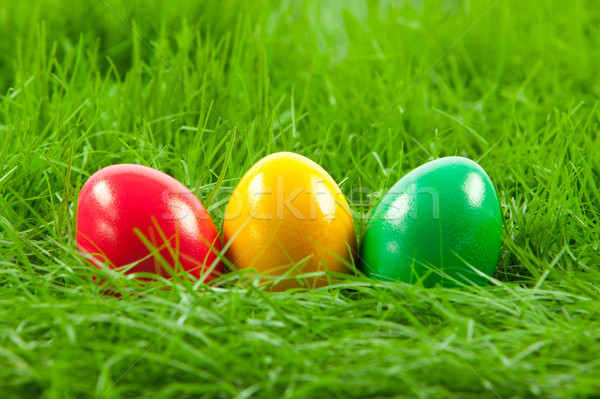 Easter eggs in Fresh Green Grass . Stock photo © EwaStudio