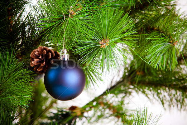 Allegro Natale legno sfondo verde rosso Foto d'archivio © EwaStudio