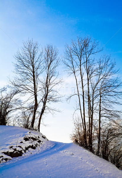 冬 風景 美しい 山 空 自然 ストックフォト © EwaStudio