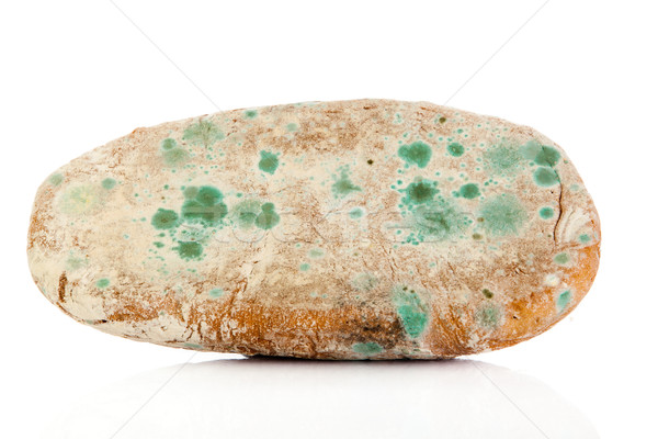 Mucegai pâine izolat alb pericol Imagine de stoc © EwaStudio