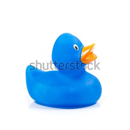 Plastic blue duck toy. Stock photo © EwaStudio