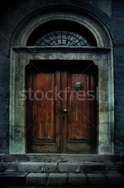 Herrenhaus Illustration dunkel alten Holz Stock foto © exile7