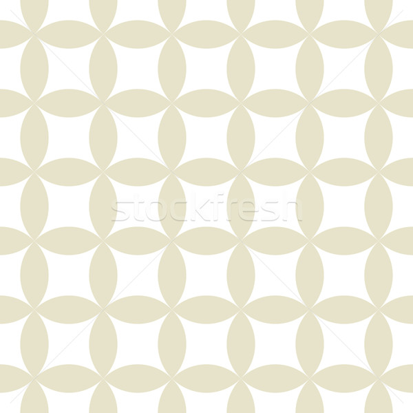 Geometrischen Textur Vektor Design Stock foto © ExpressVectors