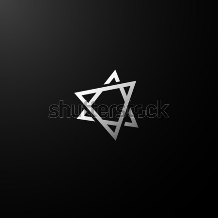 Vector geometric logo.  Stock photo © ExpressVectors