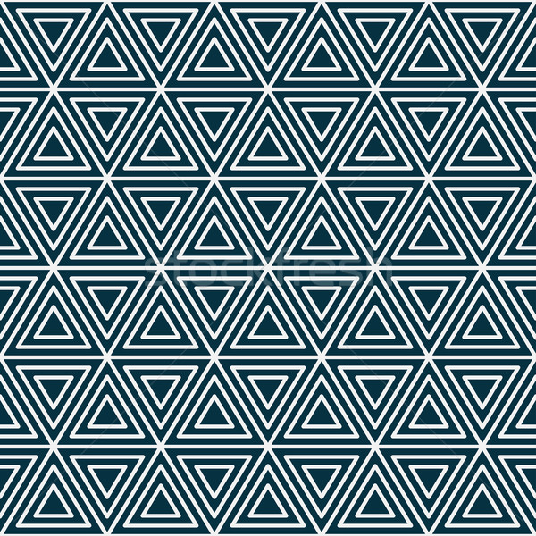 Geometric seamless pattern. Stock photo © ExpressVectors