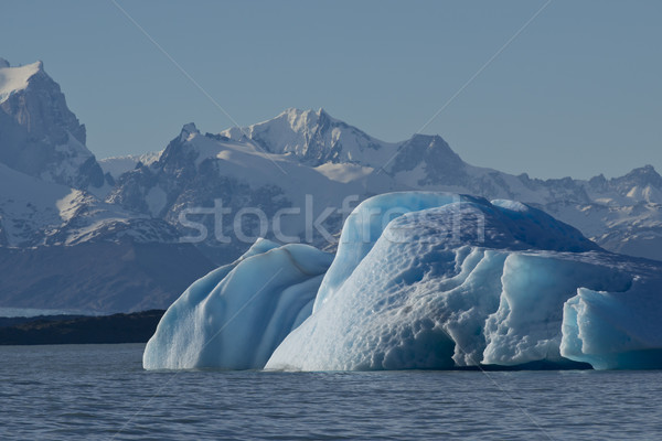 Iceberg floating on the Lake Argentino Stock photo © faabi