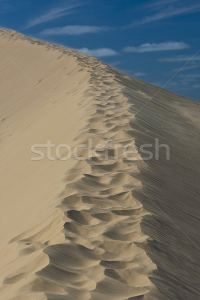 Sanddüne blauer Himmel braun abstrakten Wüste Sommer Stock foto © faabi
