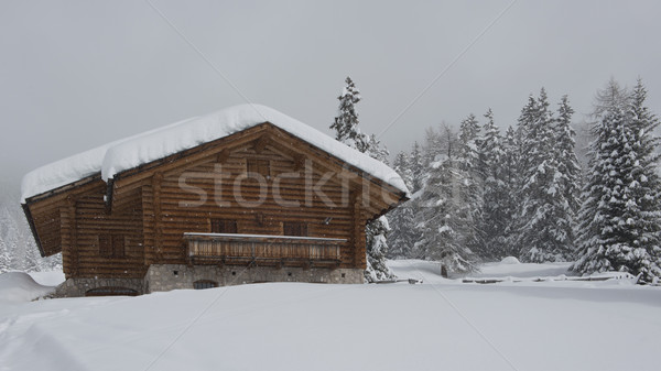 Chalet in Val di Fassa Stock photo © faabi