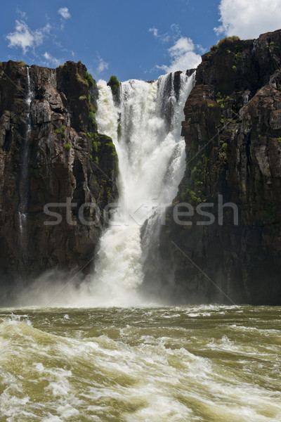 Iguazu Falls seen from the River Parana Stock photo © faabi