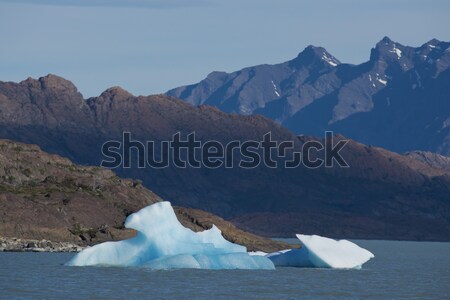 Stock photo: Iceberg floating on the Lake Argentino