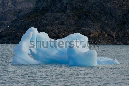 Eisbergs schwimmend See spektakuläre blau Park Stock foto © faabi
