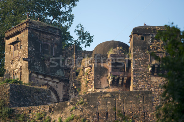 Stock photo: Ranthambhore Fort