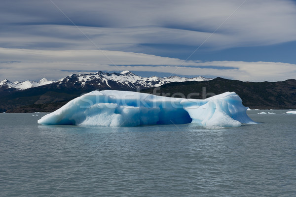 Iceberg floating on the Lake Argentino Stock photo © faabi