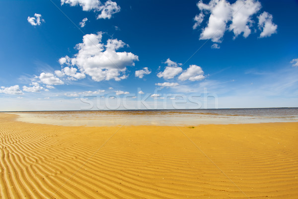 coast White Sea . Stock photo © fanfo