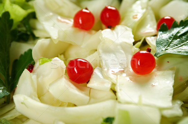 Salada repolho primavera fresco legumes comida Foto stock © fanfo