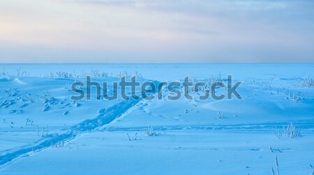 White Sea Stock photo © fanfo