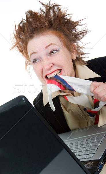 Angry crazy Businesswoman with a laptop Stock photo © fanfo
