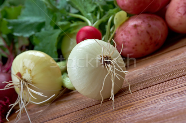  onion close up Stock photo © fanfo