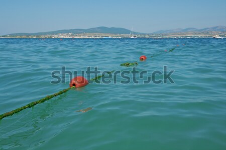line buoy on the sea Stock photo © fanfo