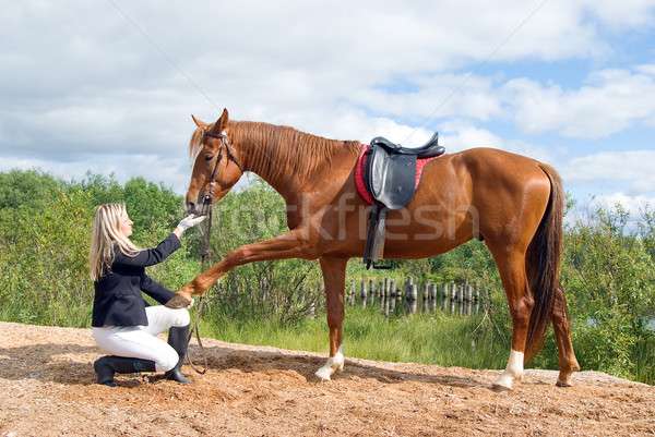 beautiful girl and her handsome hors Stock photo © fanfo