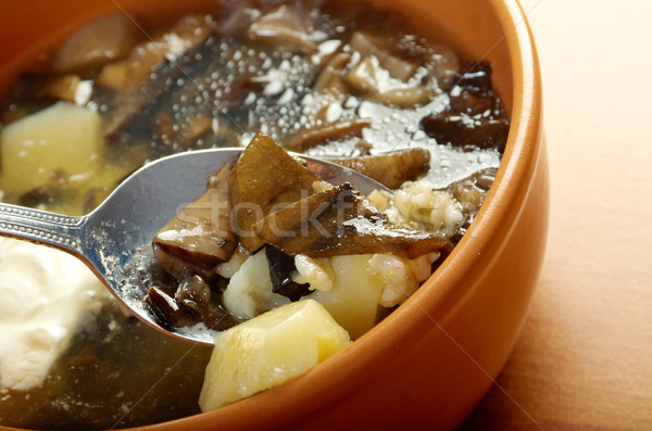 home made mushroom soup Stock photo © fanfo