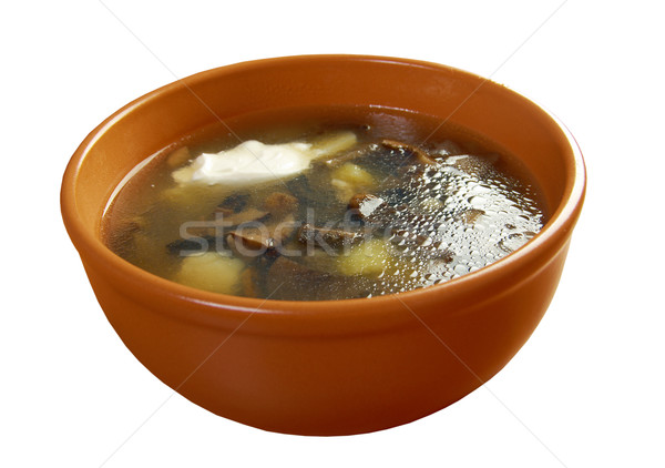 Zdjęcia stock: Grzyby · zupa · rosyjski · kiszona · kapusta · grzyby