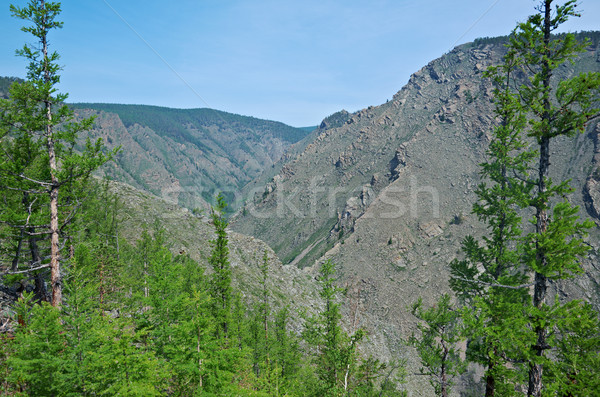 Mountain peaks at canyon kurma Stock photo © fanfo