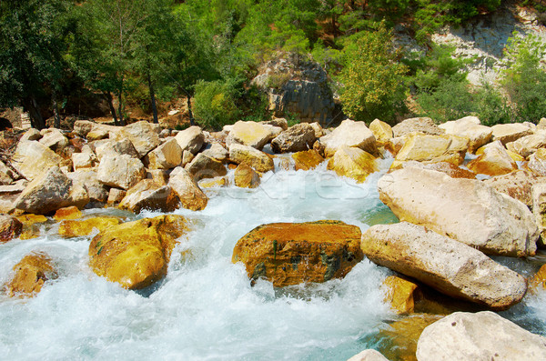 Berg rivier Turkije water ontwerp reizen Stockfoto © fanfo