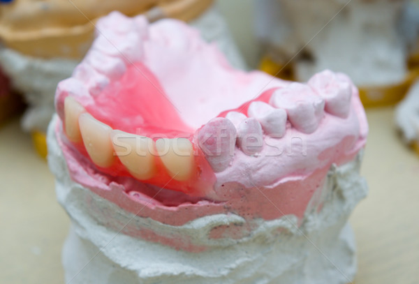 denture  Low DOF Stock photo © fanfo