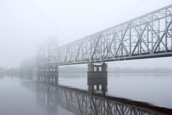railway bridge through the river Stock photo © fanfo