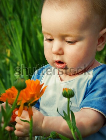 tot looks at flower Stock photo © fanfo