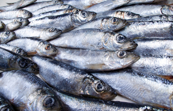 Fresh herring Close-up Stock photo © fanfo