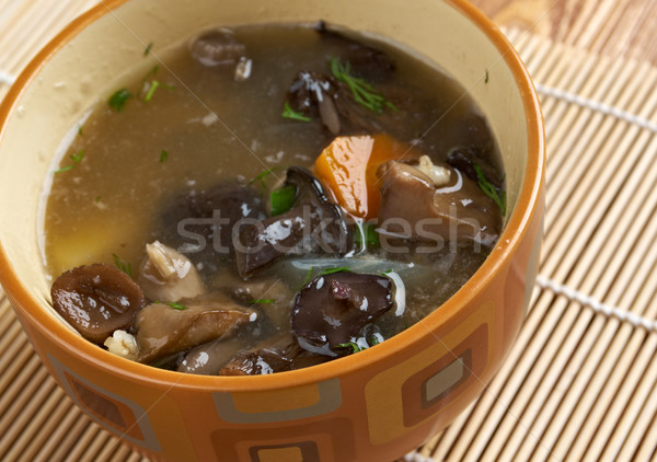 Rosyjski kiszona kapusta zupa grzyby perła jęczmień Zdjęcia stock © fanfo