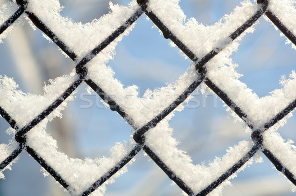 freezing patterns, winter Stock photo © fanfo